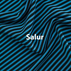 Salur